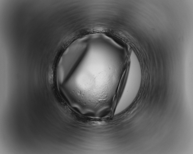 X0000096170552200802151437