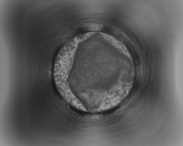 X0000096170553200802151437