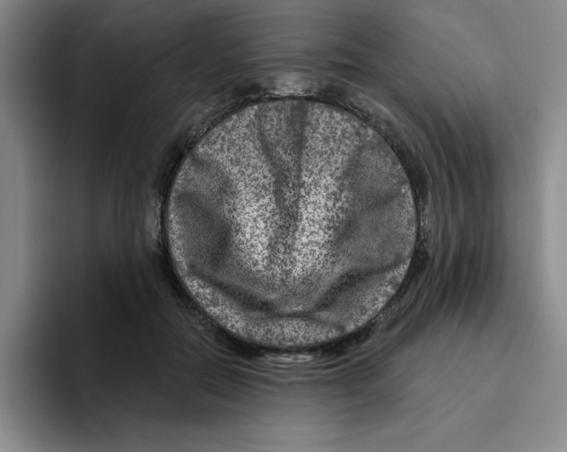 X0000096170554200802151437