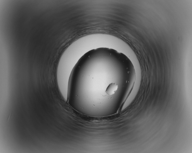 X0000096170556200802151437