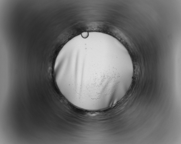 X0000096170557200802151437