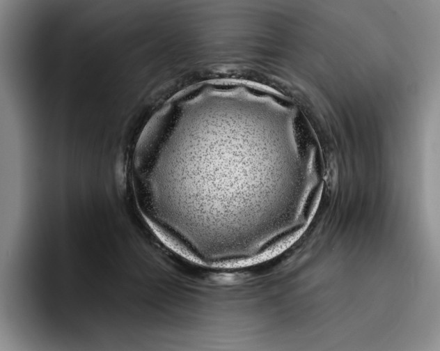X0000096170558200802151437