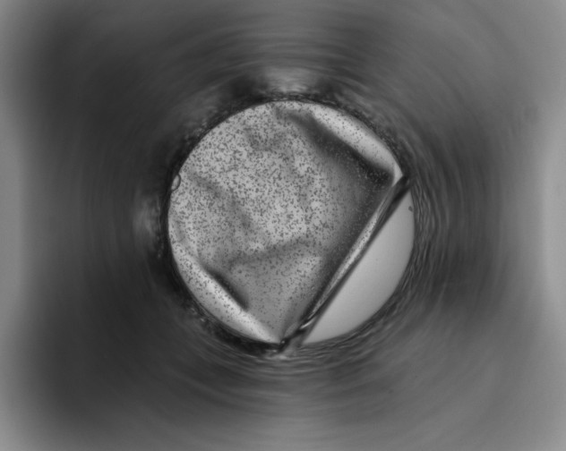 X0000096170559200802151437
