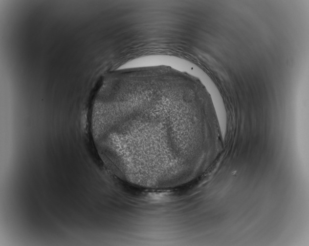 X0000096170560200802151437