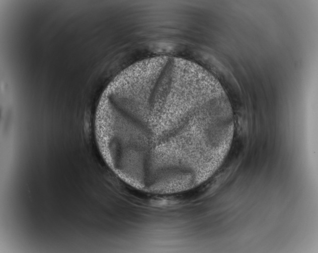 X0000096170561200802151437