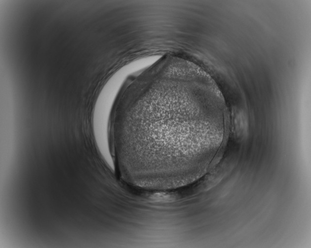 X0000096170562200802151437
