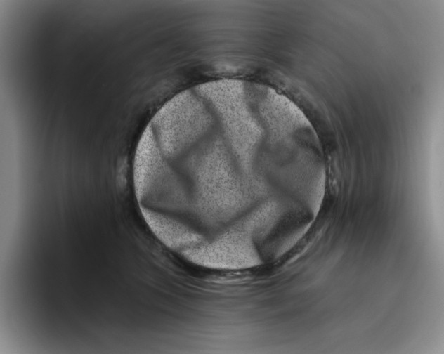 X0000096170563200802151437