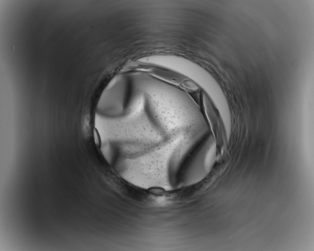 X0000096170564200802151437