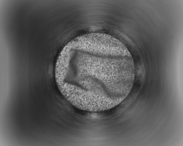 X0000096170565200802151437