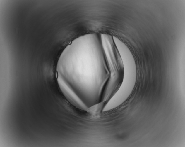 X0000096170566200802151437