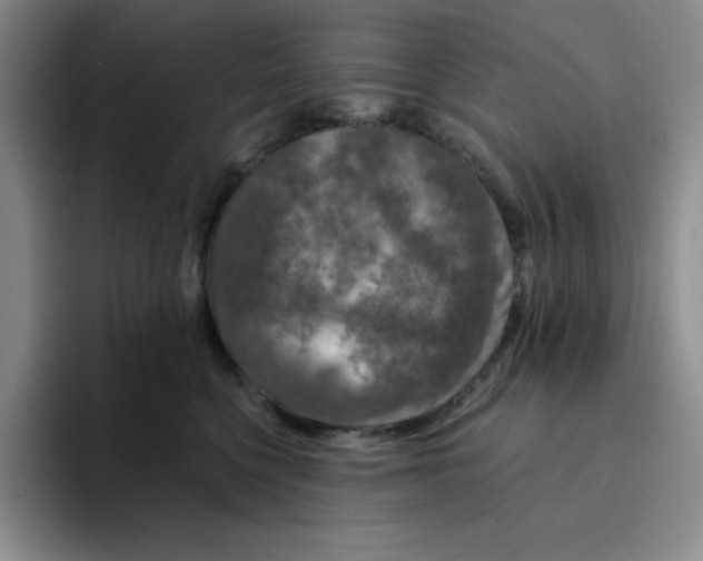 X0000096170568200802151437