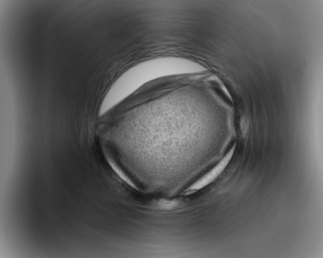 X0000096170570200802151437