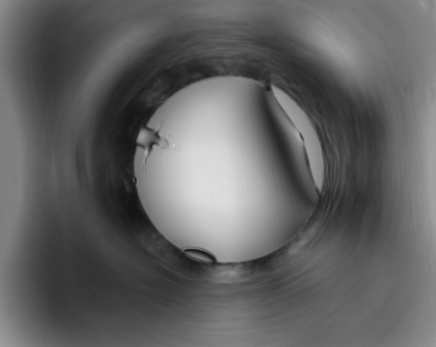 X0000096170574200802151437
