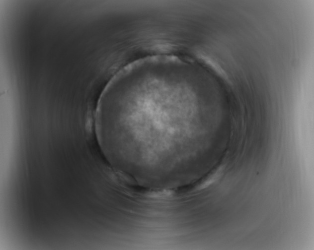 X0000096170576200802151437