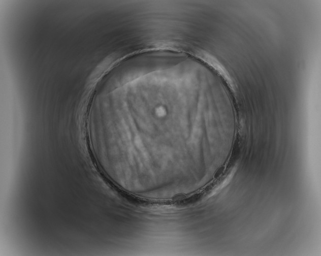 X0000096170577200802151436