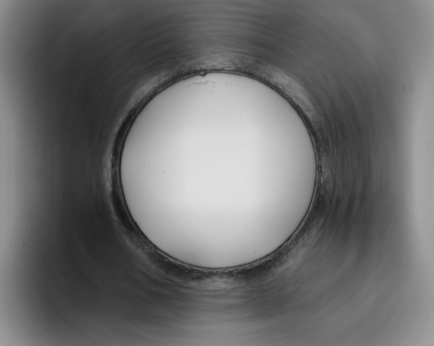 X0000096170578200802151436