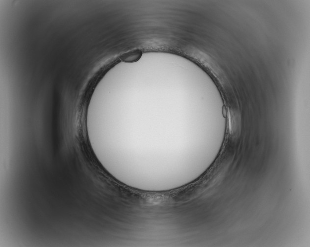 X0000096170579200802151436