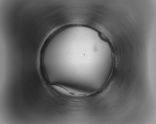 X0000096170580200802151436