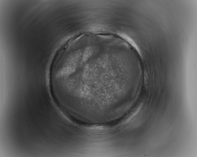 X0000096170581200802151436