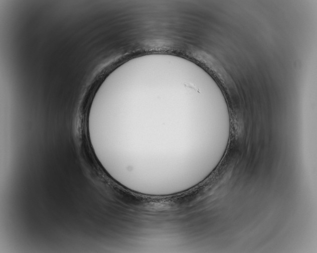 X0000096170583200802151436