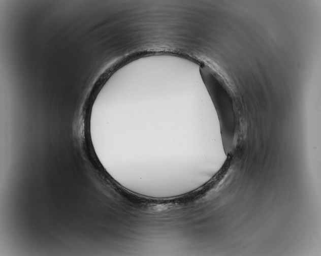 X0000096170584200802151436
