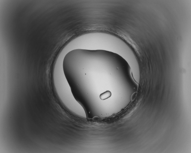 X0000096170585200802151436