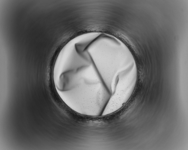 X0000096170586200802151436