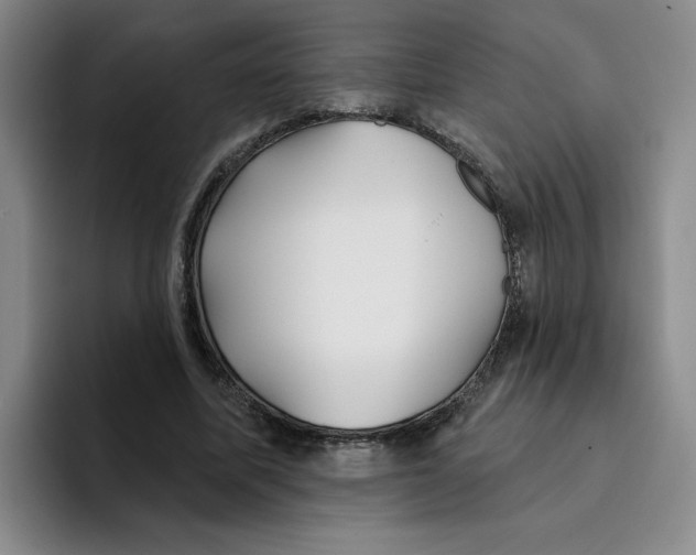X0000096170587200802151436