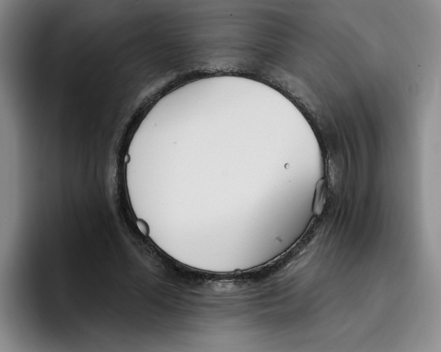 X0000096170588200802151436