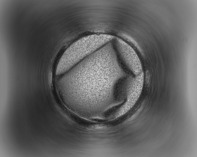 X0000096170589200802151436