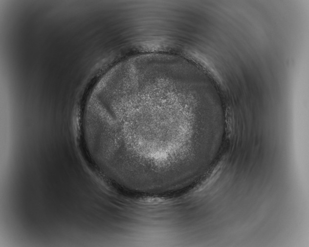 X0000096170590200802151436