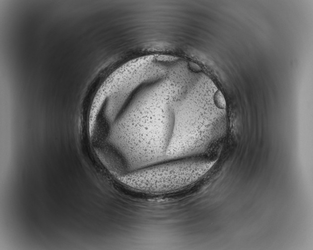 X0000096170591200802151436