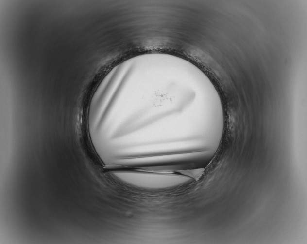 X0000096170592200802151436