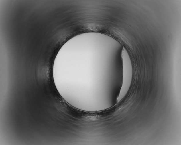 X0000096170595200802151436