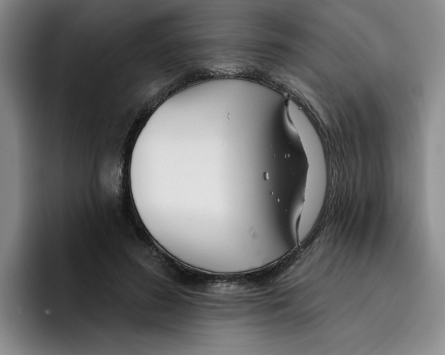 X0000096170596200802151436