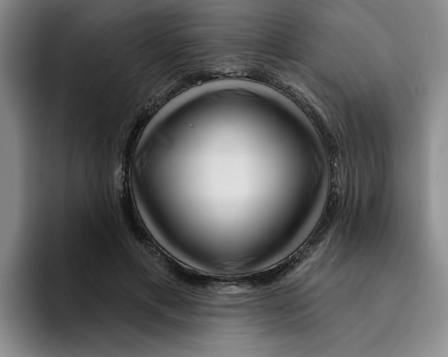 X0000096170597200802151436