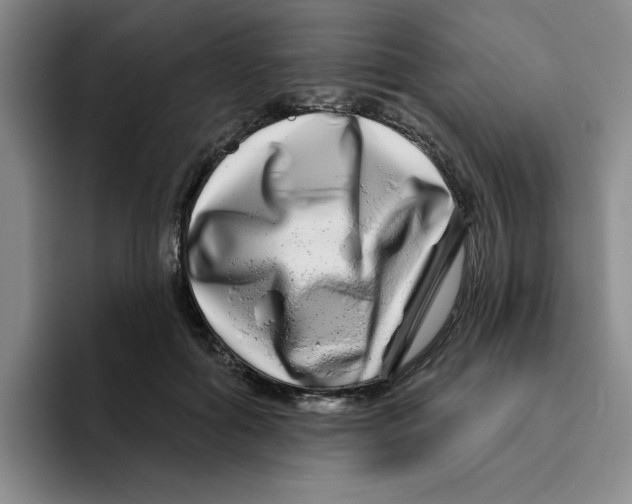 X0000096170602200802151436