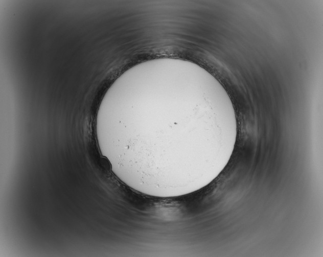 X0000096170603200802151436