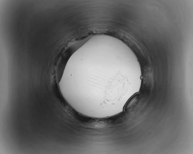 X0000096170604200802151436