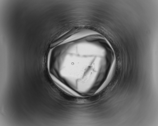 X0000096170605200802151436