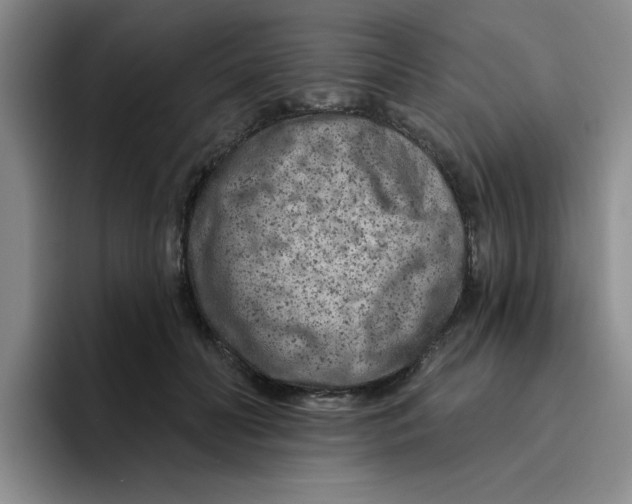 X0000096170606200802151436