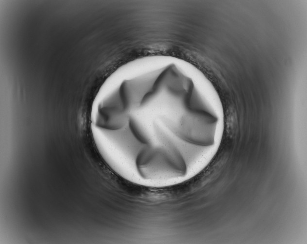X0000096170608200802151436