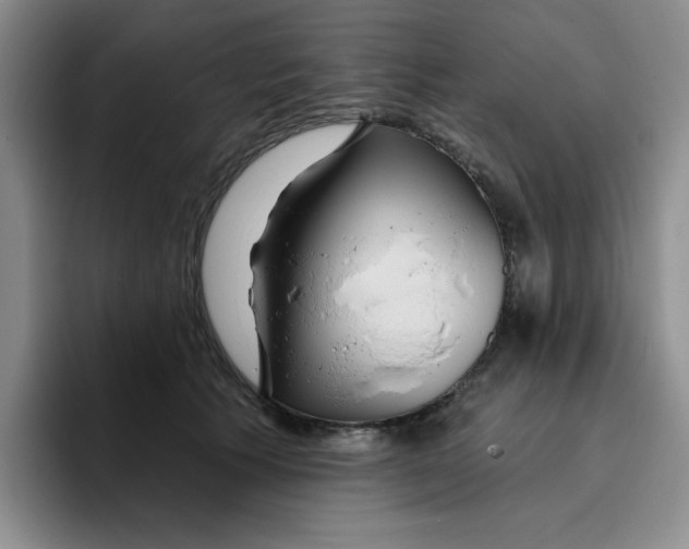 X0000096170609200802151436