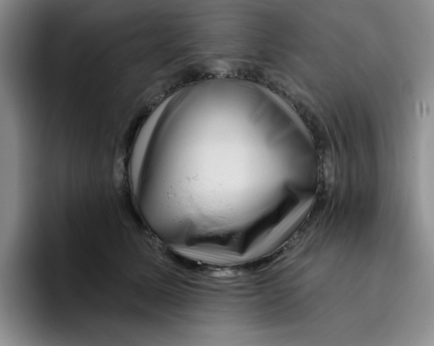 X0000096170611200802151436