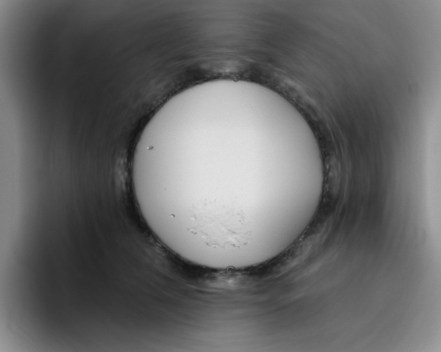 X0000096170612200802151436