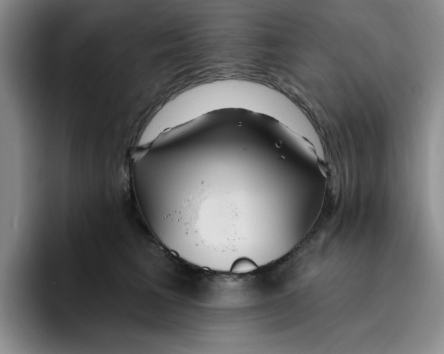 X0000096170613200802151436