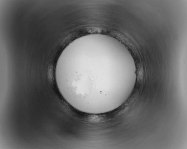 X0000096170616200802151436