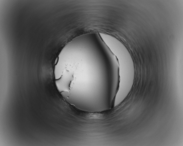 X0000096170617200802151436