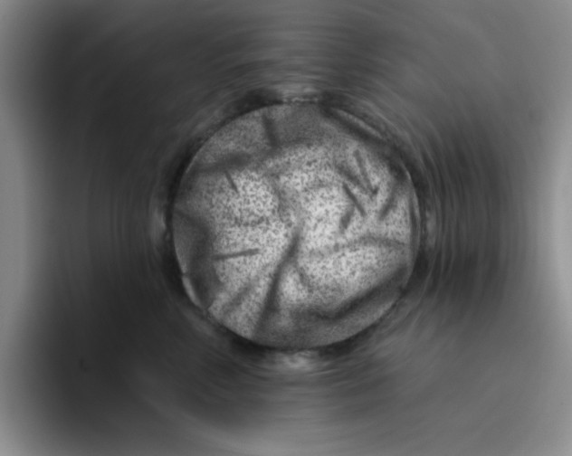 X0000096170618200802151436