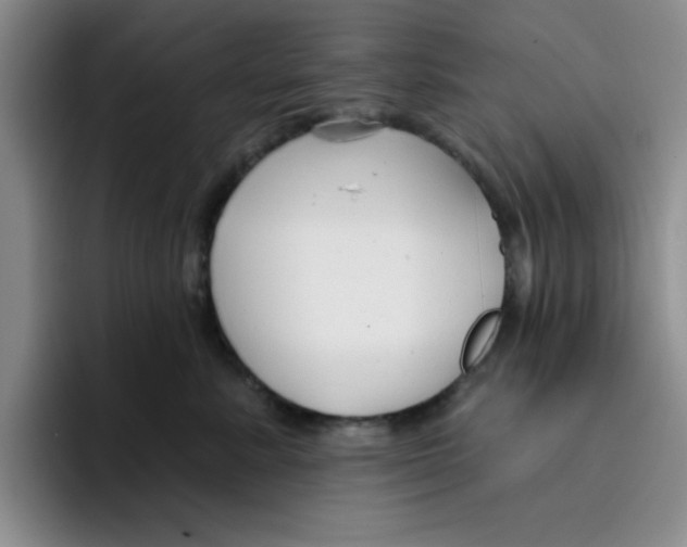 X0000096170619200802151436